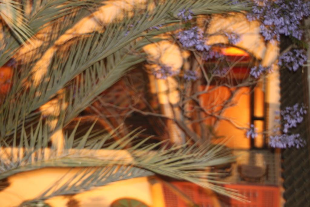 O Ly 3* Marrakesch
